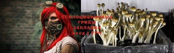 мяу мяу кристалл Навашино