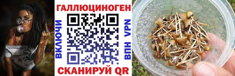 Псилоцибиновые грибы мицелий что такое наркотик Рыльск